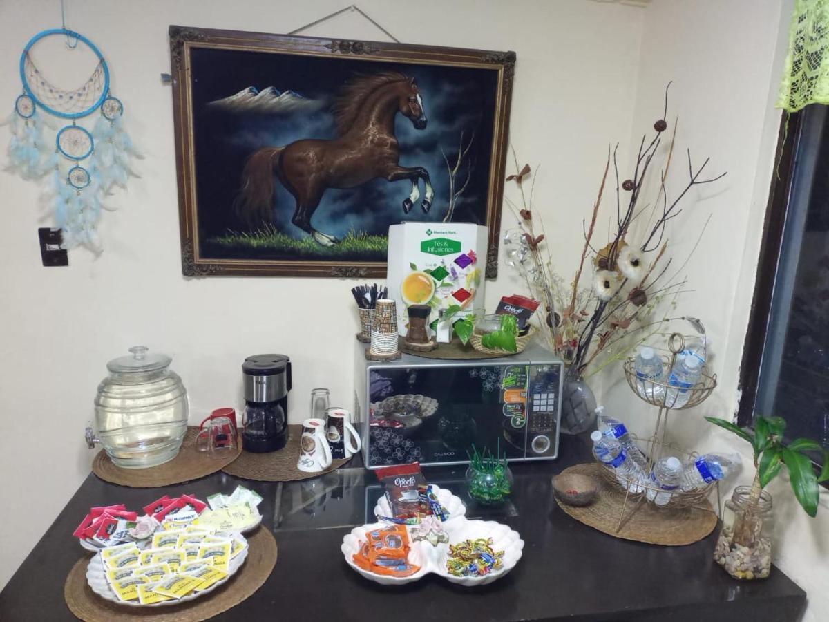 Habitacion En Departamento Compartido Con Consultorio Holistico En Zona Turistico Homestay Mexico City