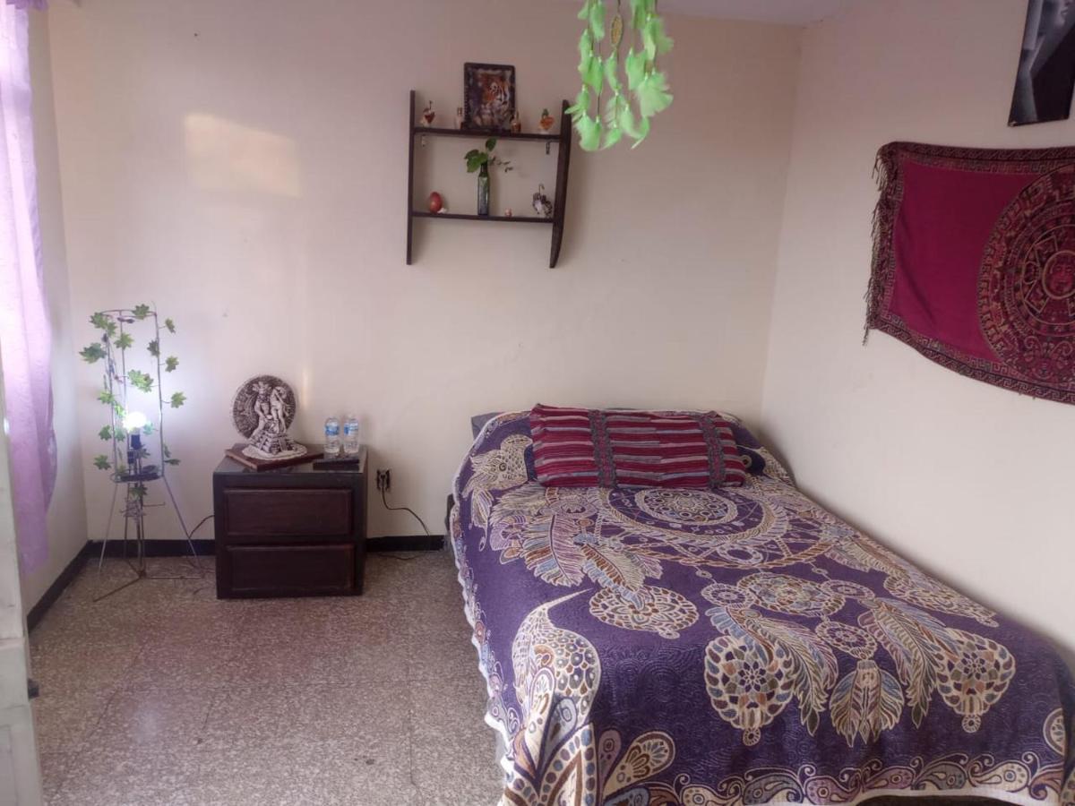 Habitacion En Departamento Compartido Con Consultorio Holistico En Zona Turistico Homestay