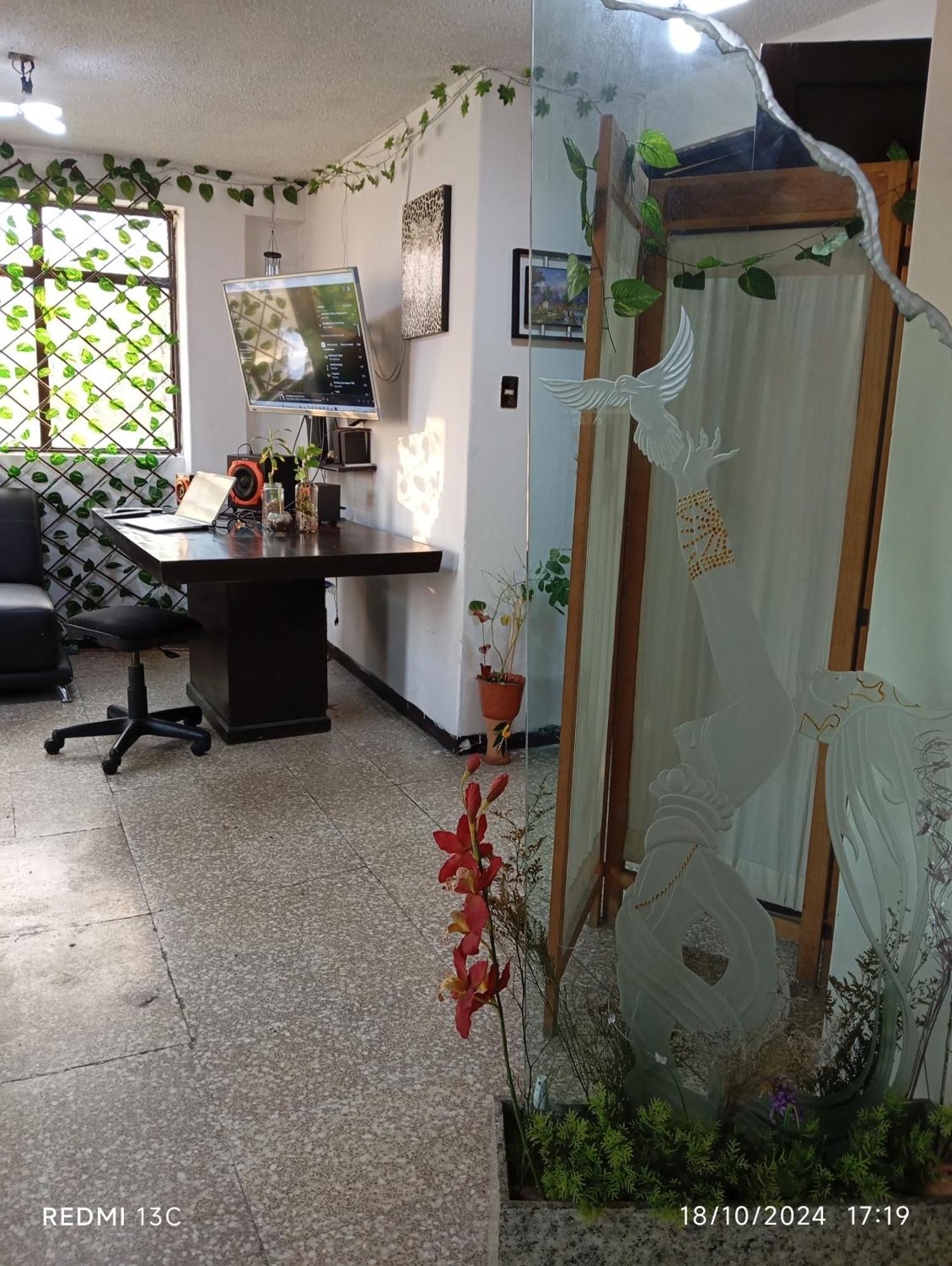 Habitacion En Departamento Compartido Con Consultorio Holistico En Zona Turistico Homestay